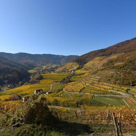 Gut am StegWeingut Piewald公寓 外观 照片