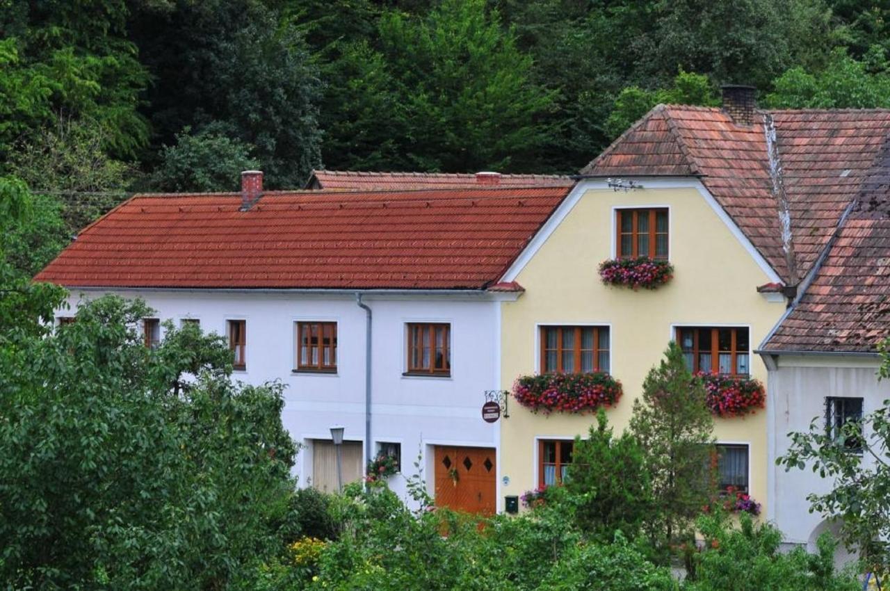 Gut am StegWeingut Piewald公寓 外观 照片