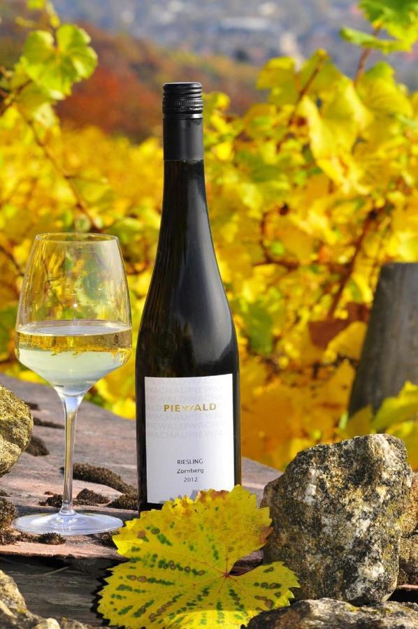 Gut am StegWeingut Piewald公寓 外观 照片